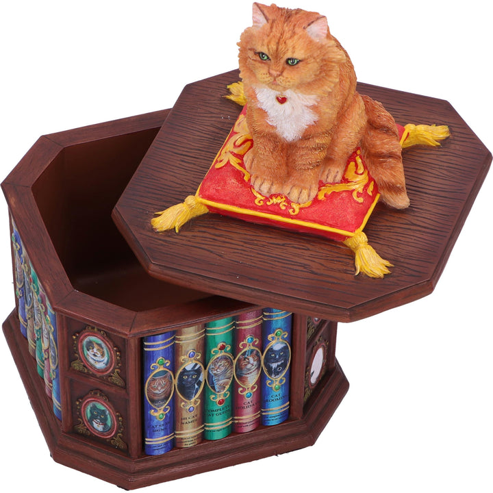 Mad About Cats Box by Lisa Parker 16.5cm