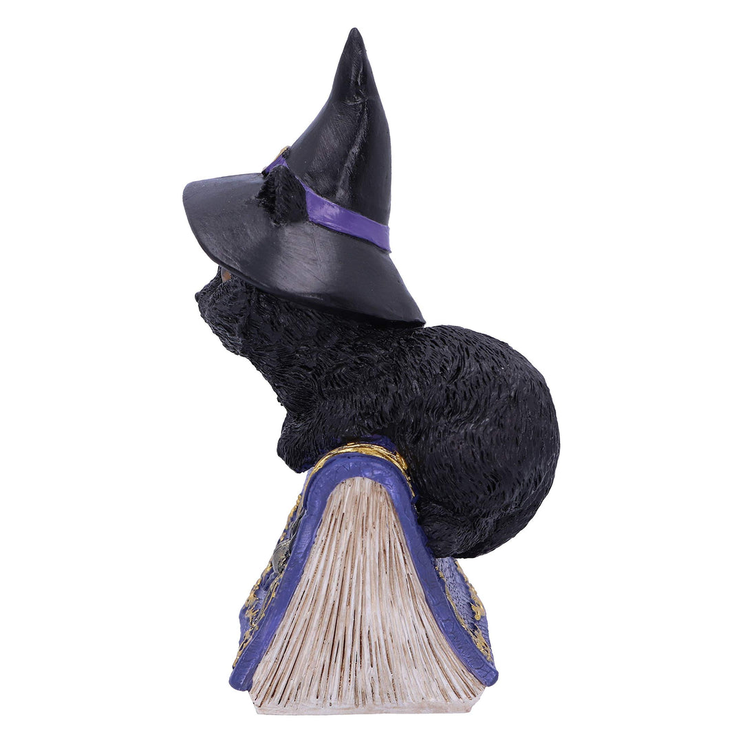 Pocus Small Witches Familiar Black Cat and Spellbook Figurine 12.7cm