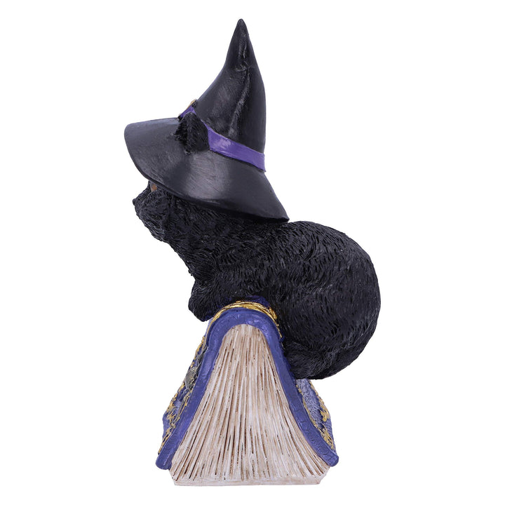 Pocus Small Witches Familiar Black Cat and Spellbook Figurine 12.7cm