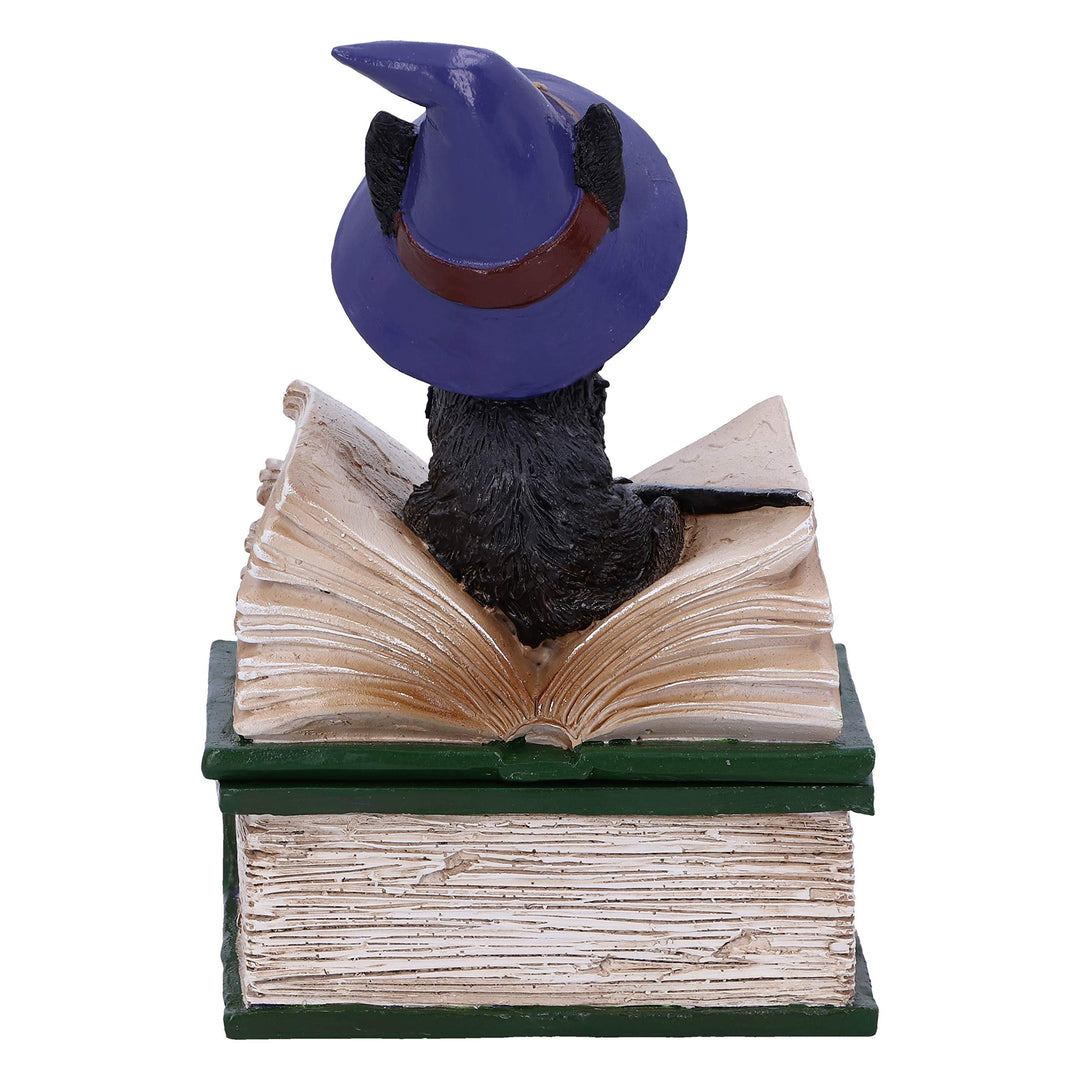Binx Small Witches Familiar Black Cat and Spellbook Figurine Box 11cm