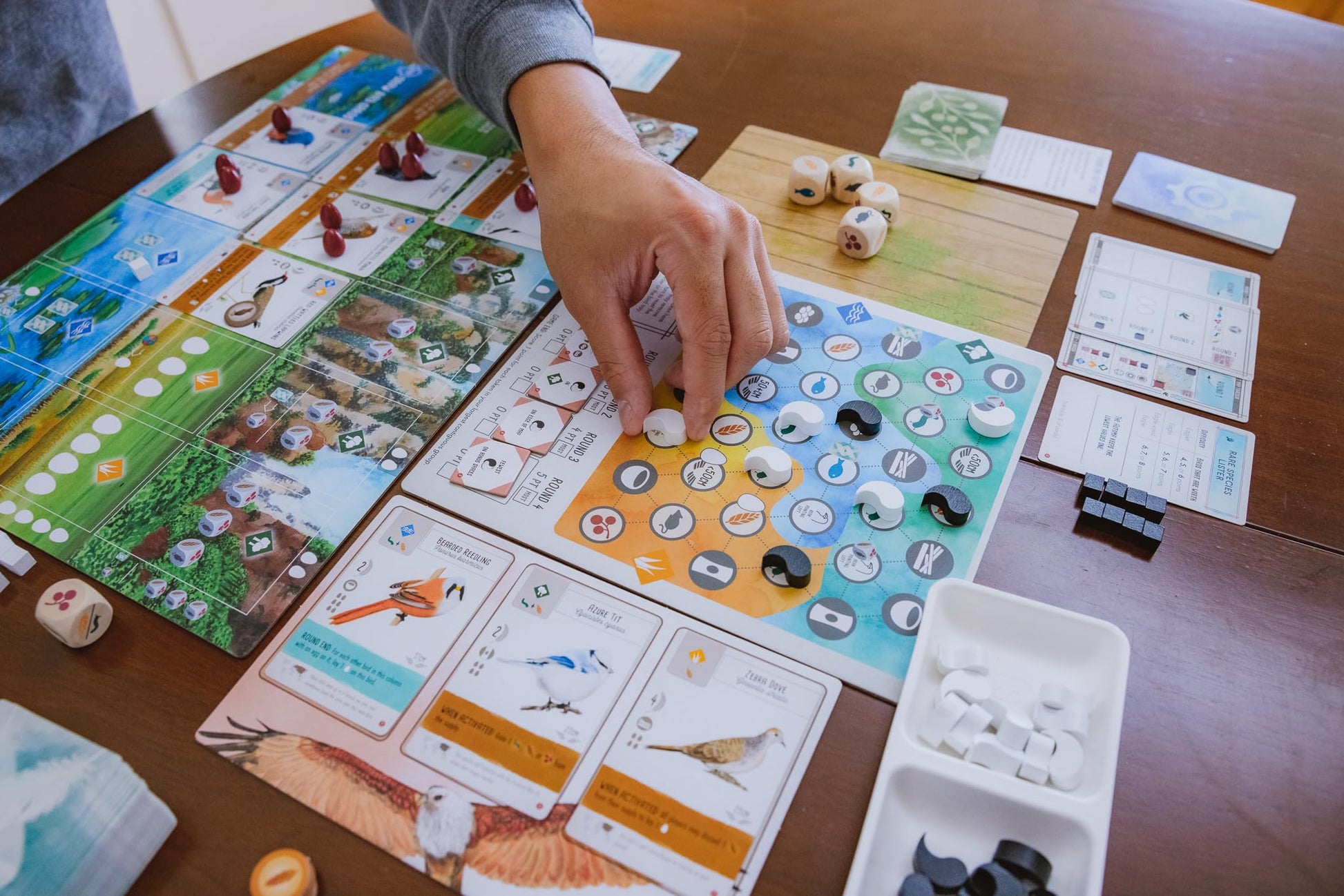 Wingspan Asia Board Game Standalone Expansion from Stonemaier 2