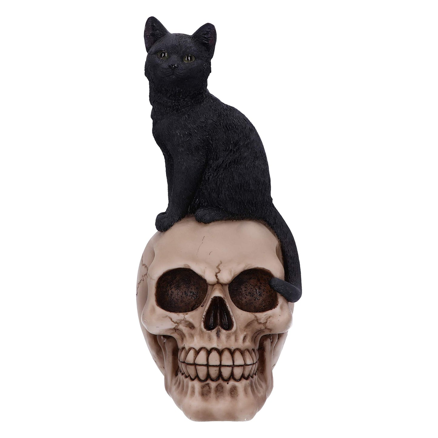 Familiar Fate Black Witches Cat and Skull Figurine 24.3cm 3