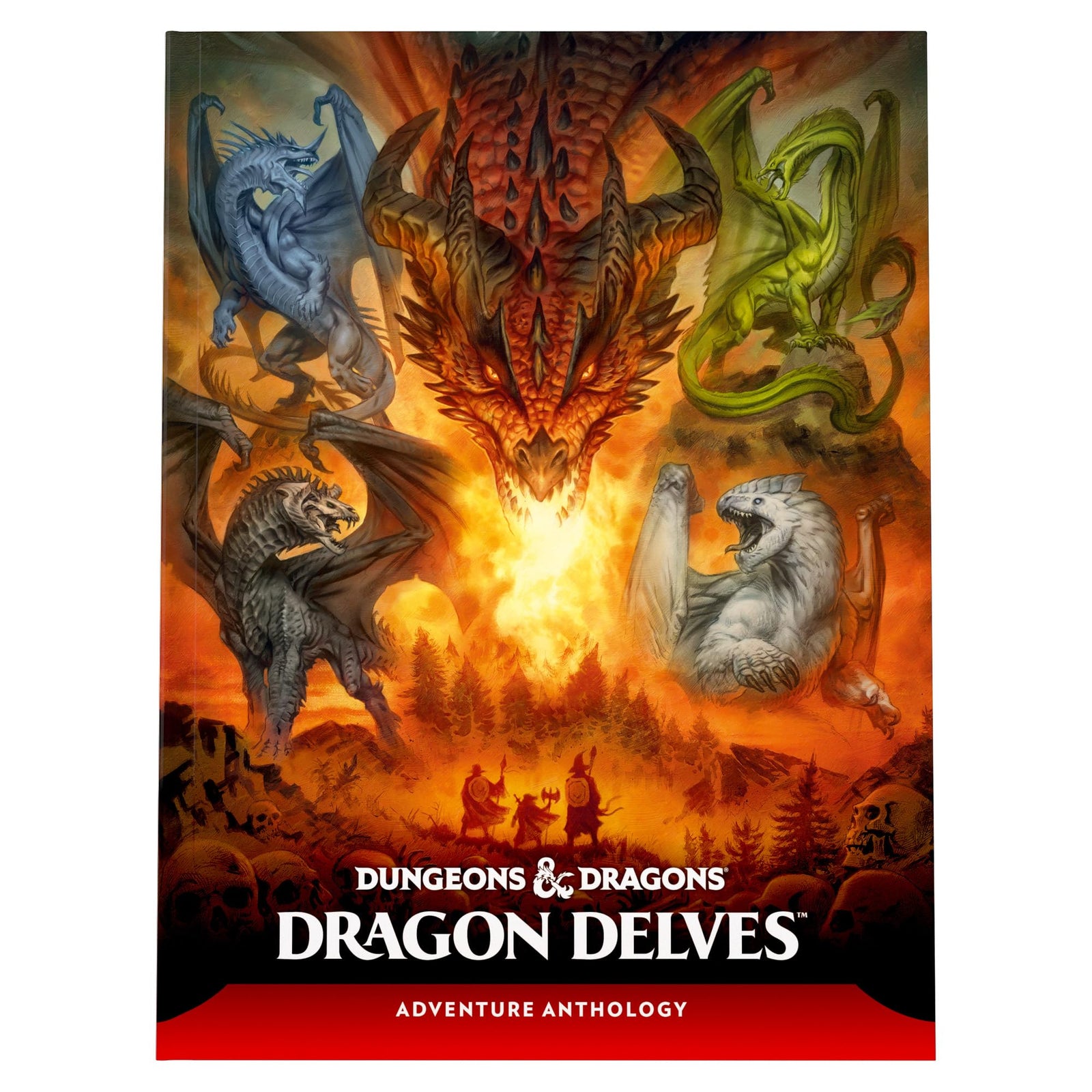 Dragon Delves Dungeons and Dragons DDN Roleplaying Game by Wizards of the Coast 1