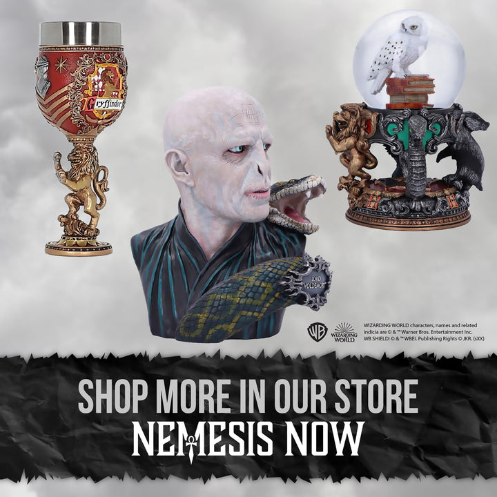 Harry Potter Hogwarts School of Witchcraft and Wizardry Collectible Goblet 19.5cm