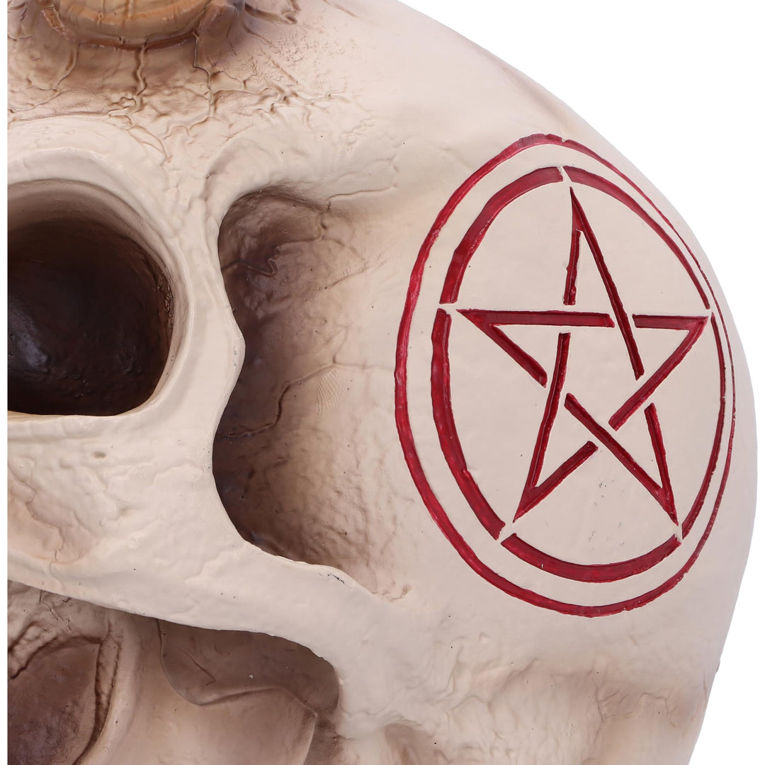 James Ryman 666 Skull 20cm