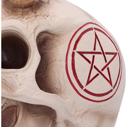 James Ryman 666 Skull 20cm 4