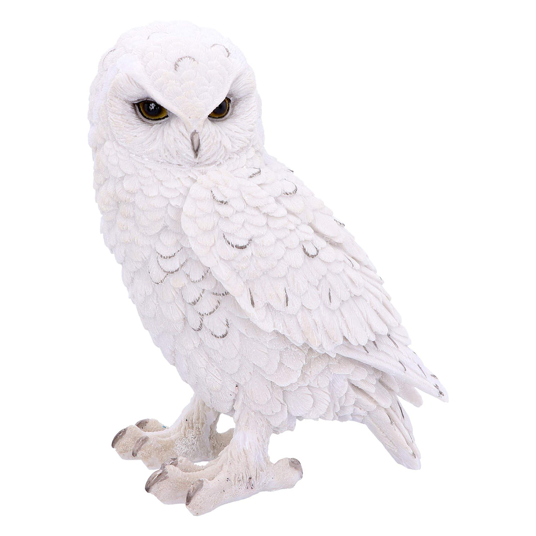 Snowy Watch Large White Owl Ornament 20cm