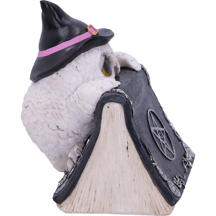 Owl with book Figurine 15cm Owls Spell