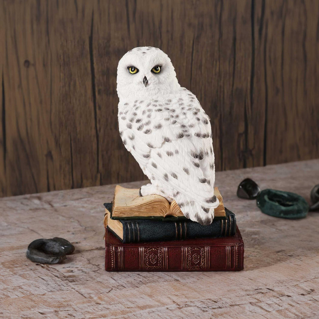Library of Wisdom White Owl Figurine 17cm