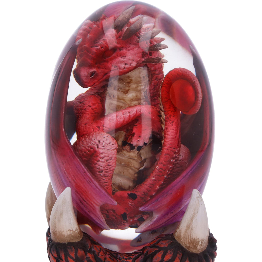 Elemental Dragonlings Fire Dragon in Clear Egg 12cm