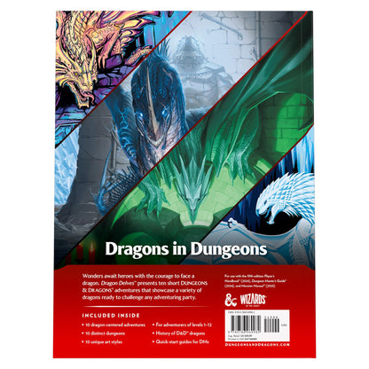 Dragon Delves Dungeons and Dragons DDN Roleplaying Game by Wizards of the Coast 6