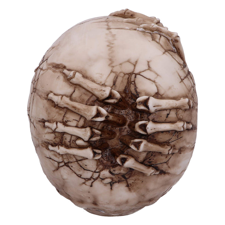 Breaking Out Skull Skeleton Ornament 20cm