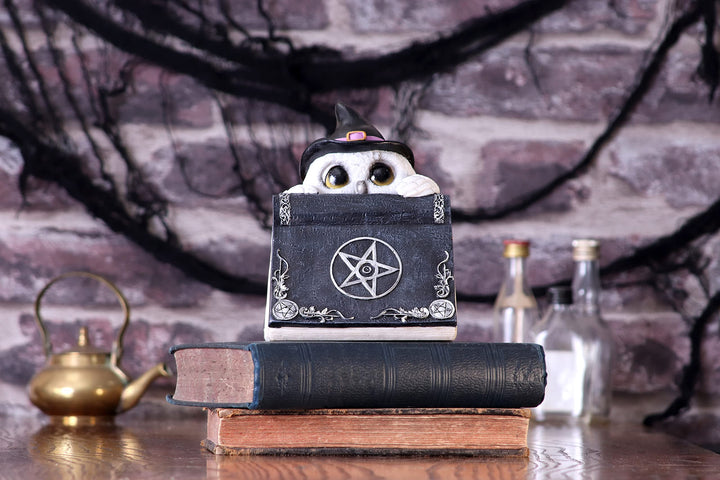 Owl with book Figurine 15cm Owls Spell