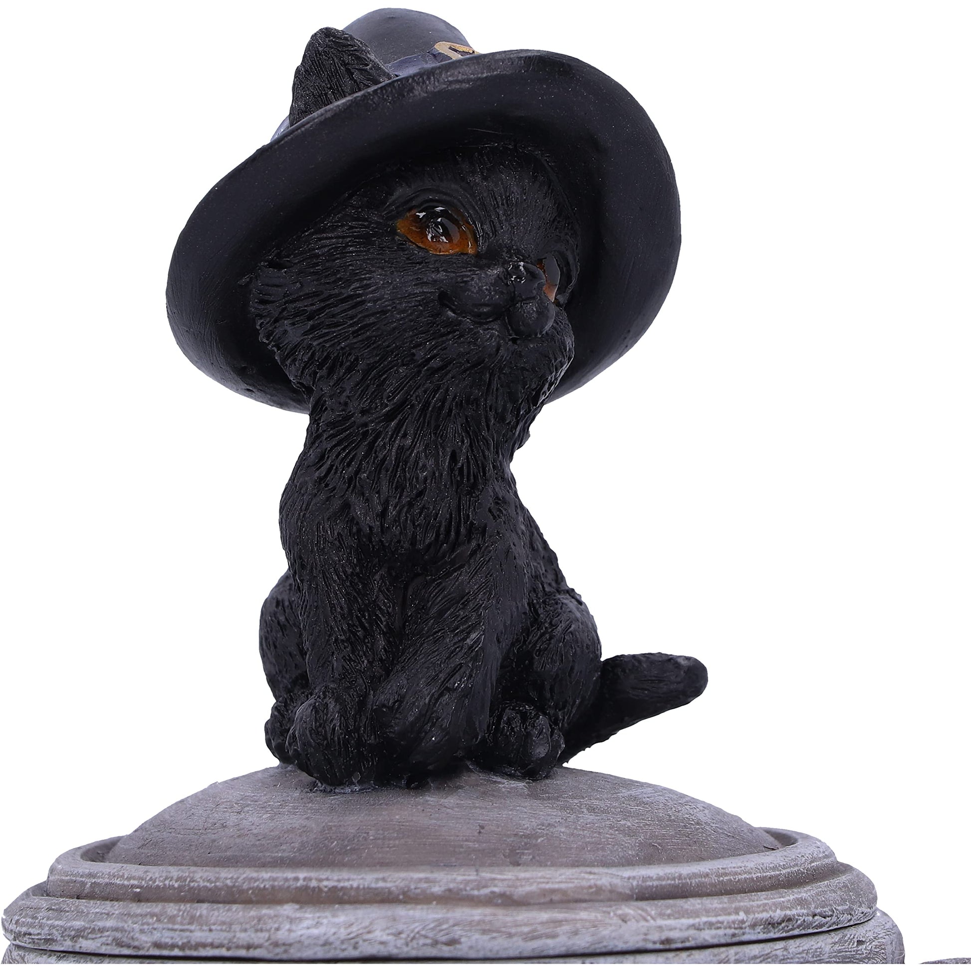 Witch Cat Cauldron Box 14cm Kittys Brew 6
