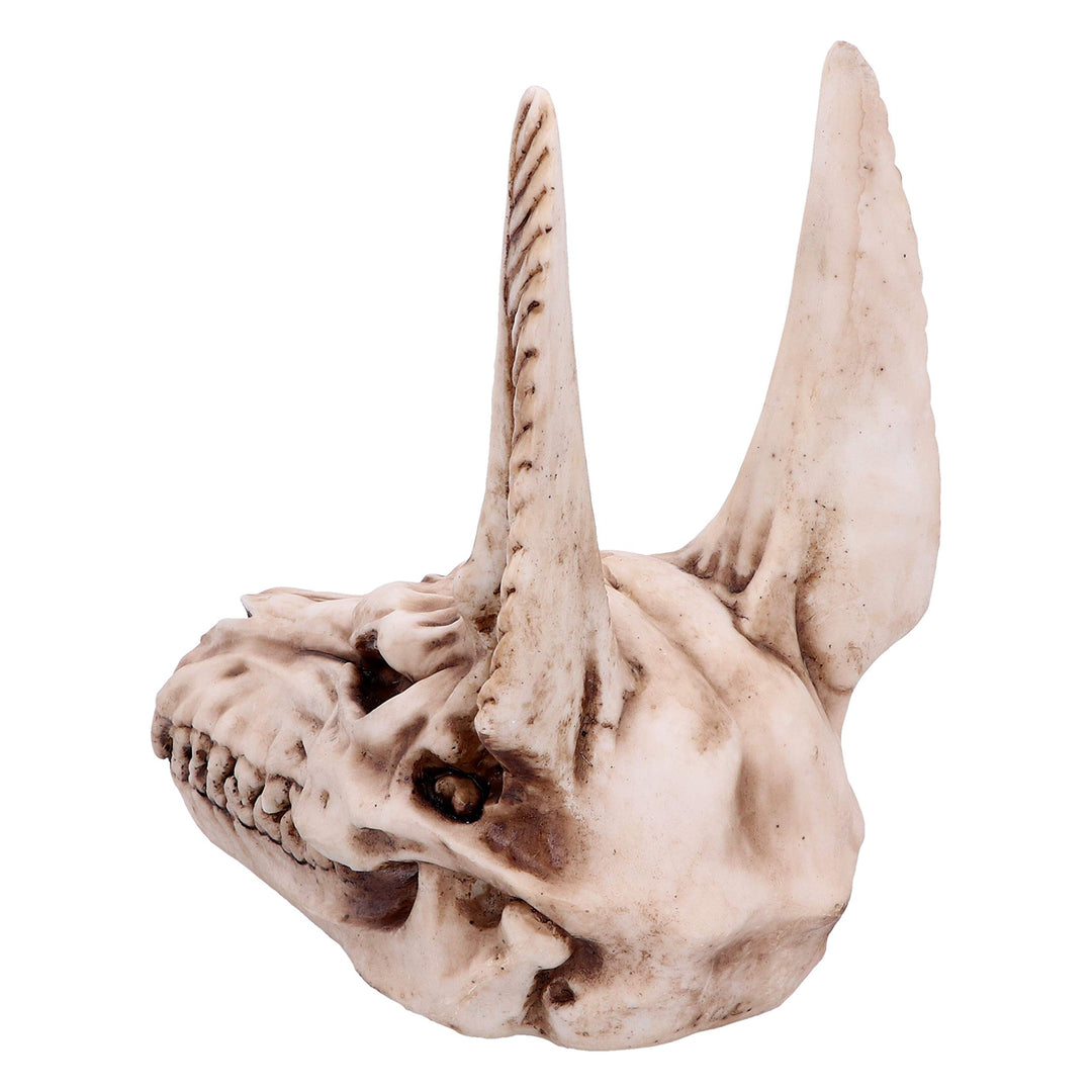 Anubis Egyptian God of the Dead Skull Ornament 17cm