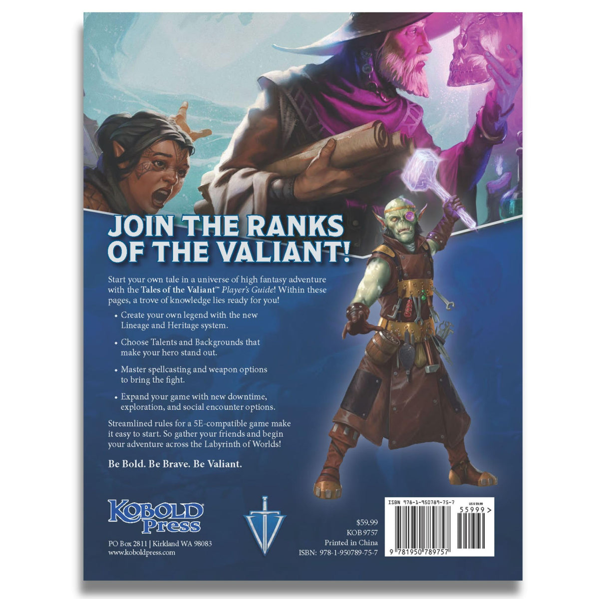 Tales of the Valiant Players Guide Limited Edition Roleplaying Game by Kobold Press 7
