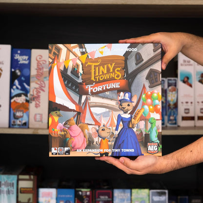 Tiny Towns Fortune Board Game Expansion