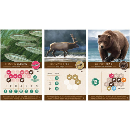 Cascadia Landmarks Exp Board Game by Alderac Entertainment Group 4
