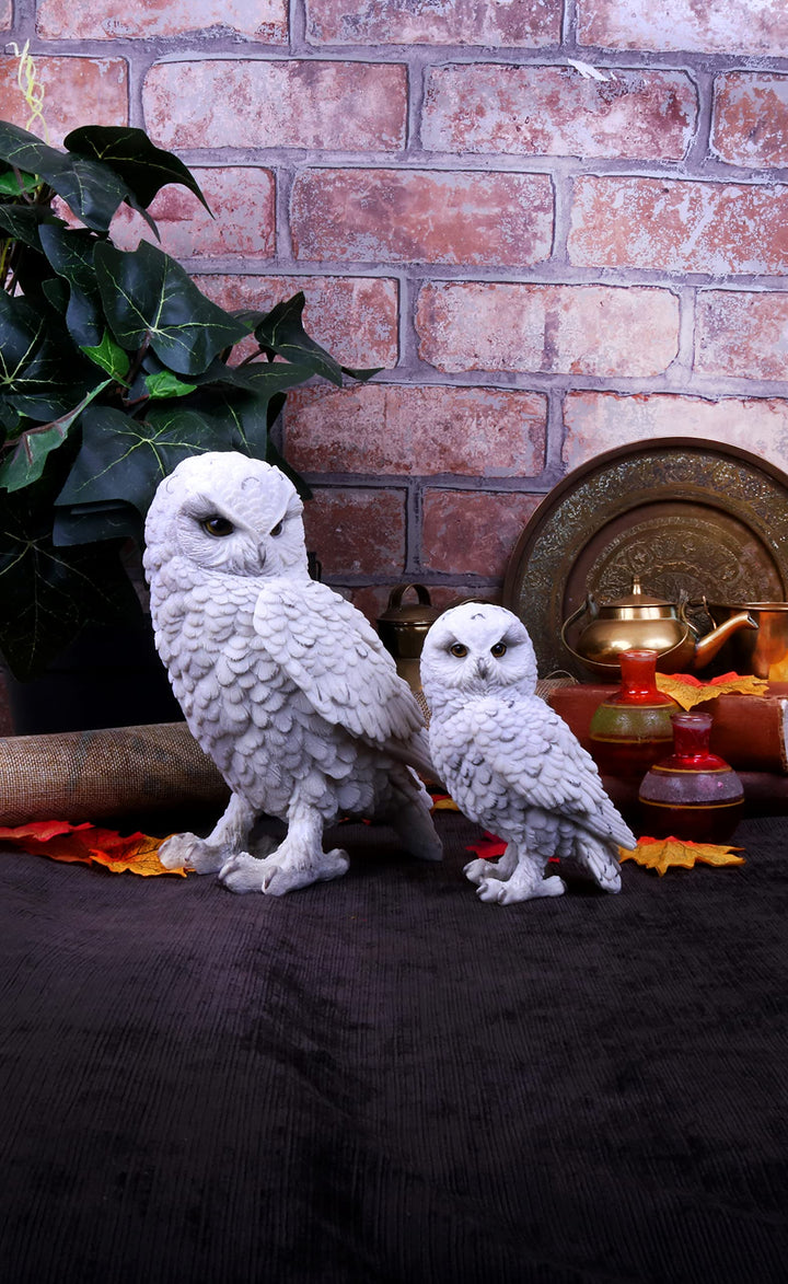 Snowy Watch Large White Owl Ornament 20cm