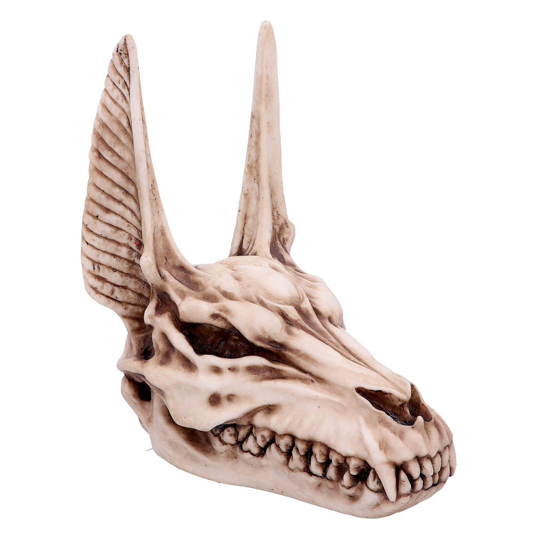 Anubis Egyptian God of the Dead Skull Ornament 17cm