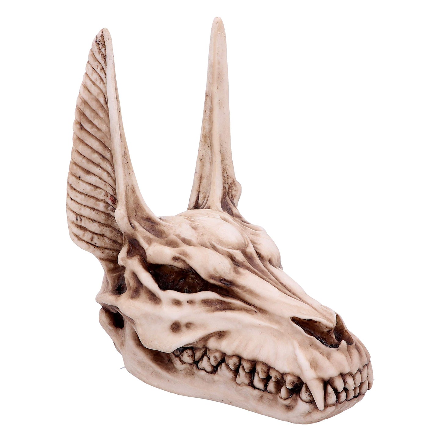 Anubis Egyptian God of the Dead Skull Ornament 17cm 2