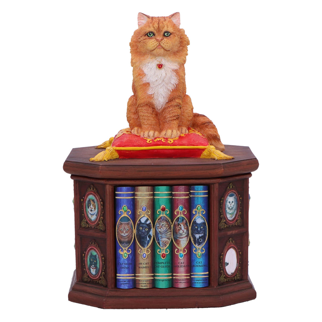Mad About Cats Box by Lisa Parker 16.5cm