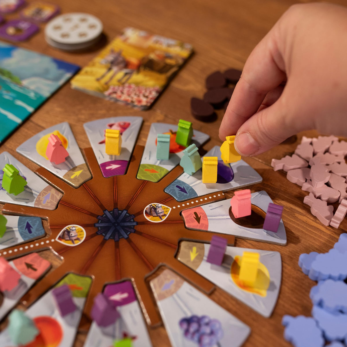 Finca Board Game by Pandasaurus 3