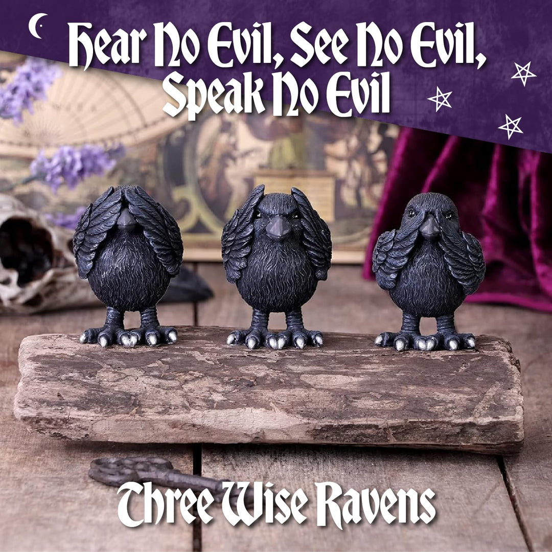 Three Wise Ravens Figurines 8.7cm
