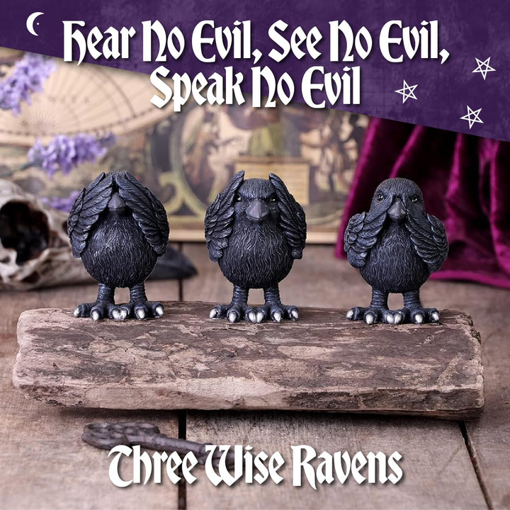 Three Wise Ravens Figurines 8.7cm