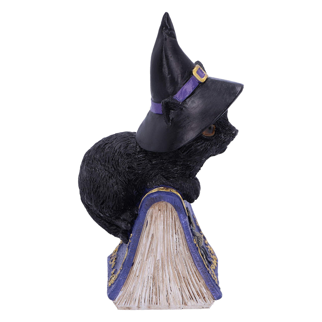 Pocus Small Witches Familiar Black Cat and Spellbook Figurine 12.7cm