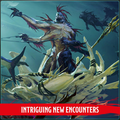 Monster Manual 2025 Dungeons and Dragons DDN Roleplaying Game by Wizards of the Coast 3