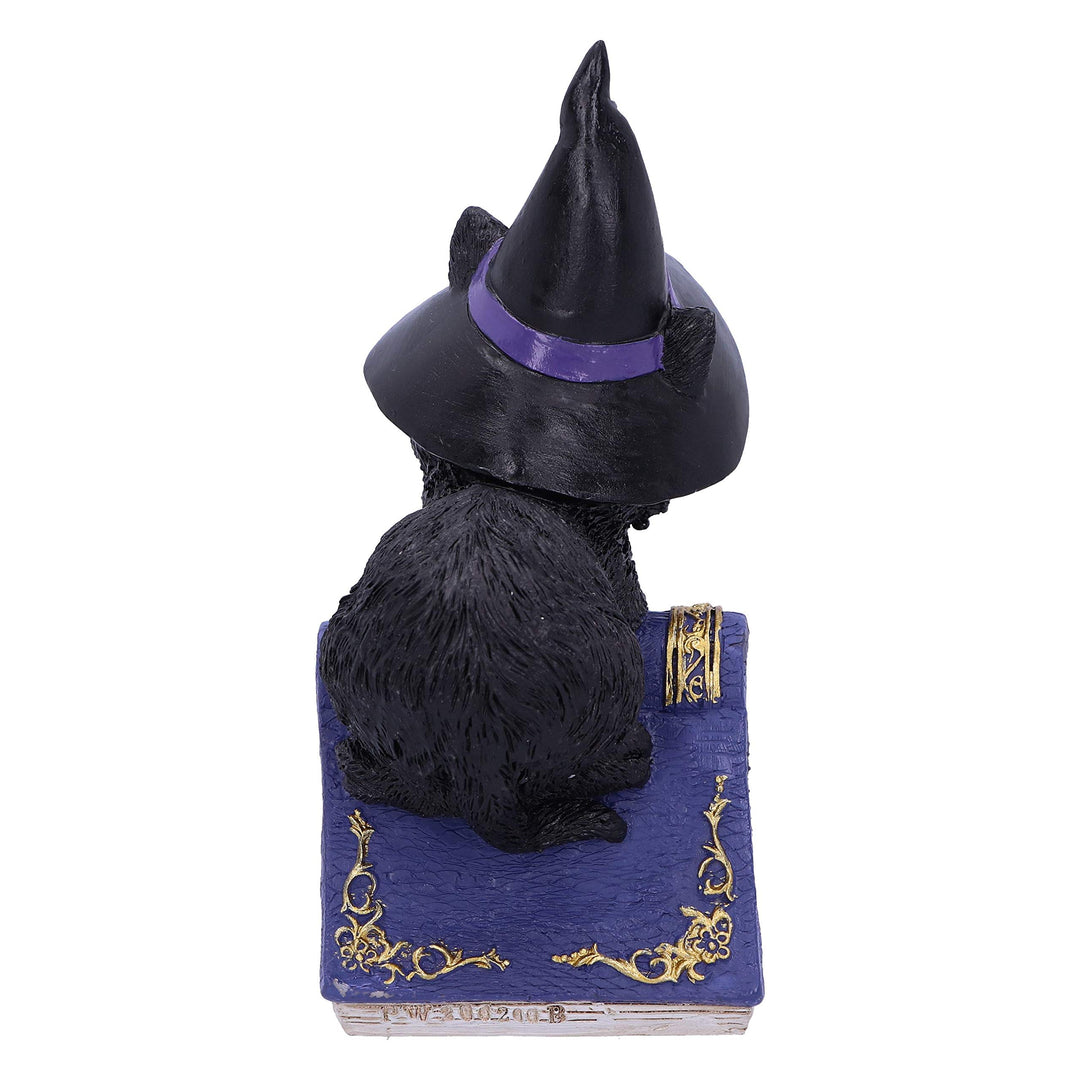 Pocus Small Witches Familiar Black Cat and Spellbook Figurine 12.7cm