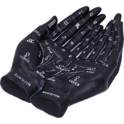 Palmists Guide Black Chiromancy Hands Candle Holder 22.3cm 5