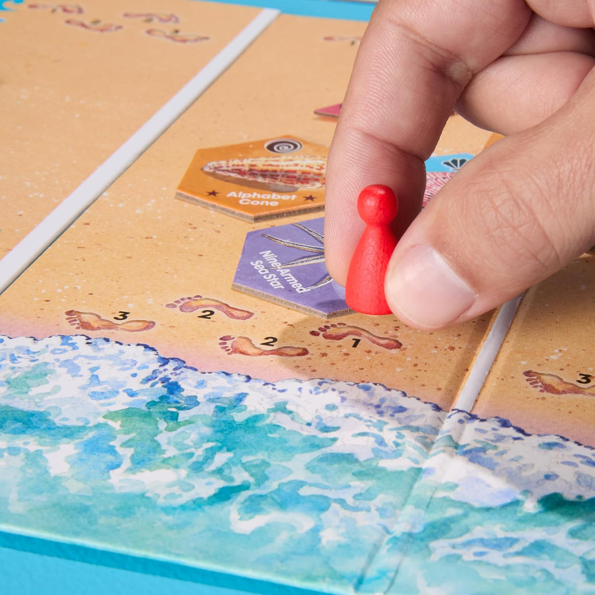 Sanibel Board Game