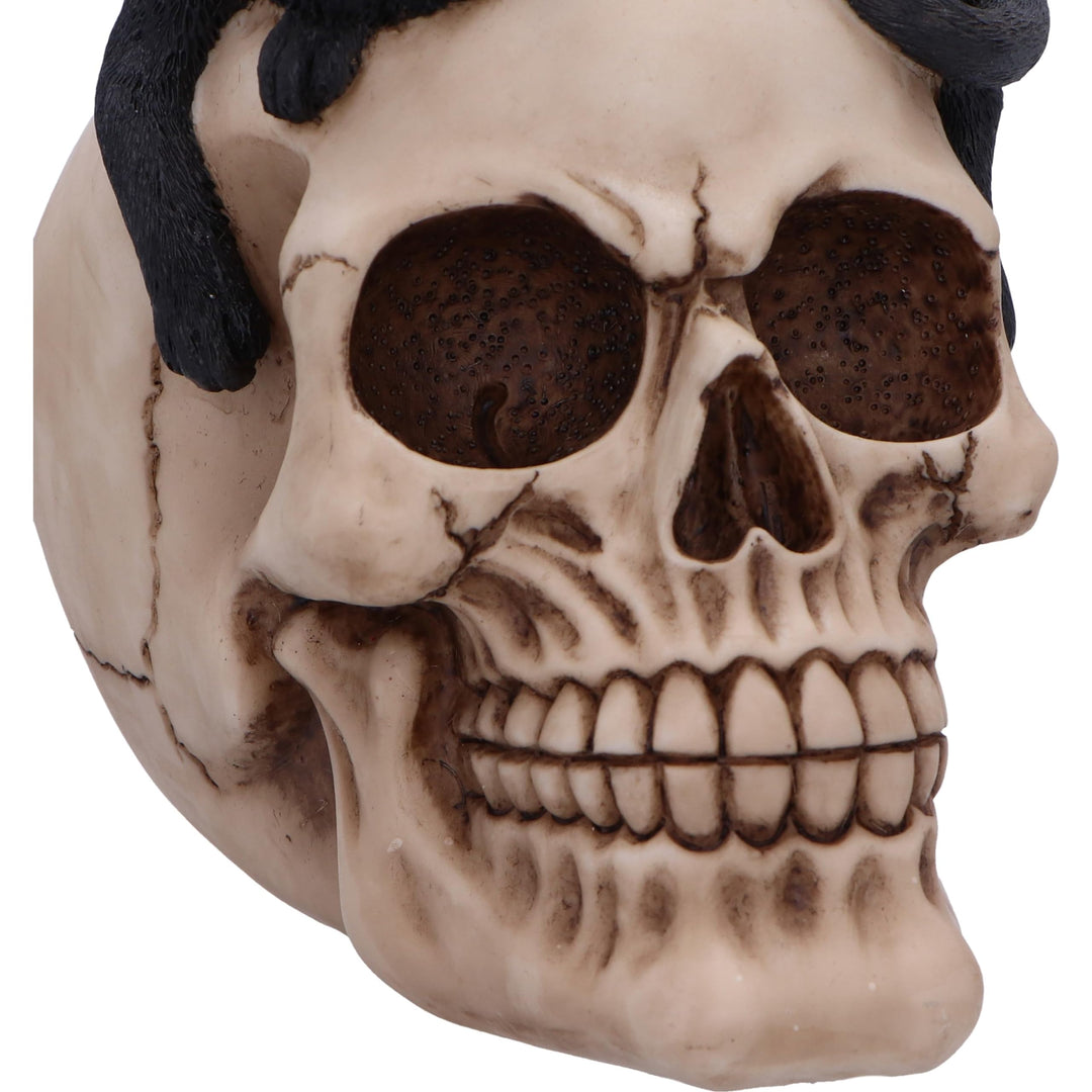 Forever Friend Black Cat Skull Head 14.5cm