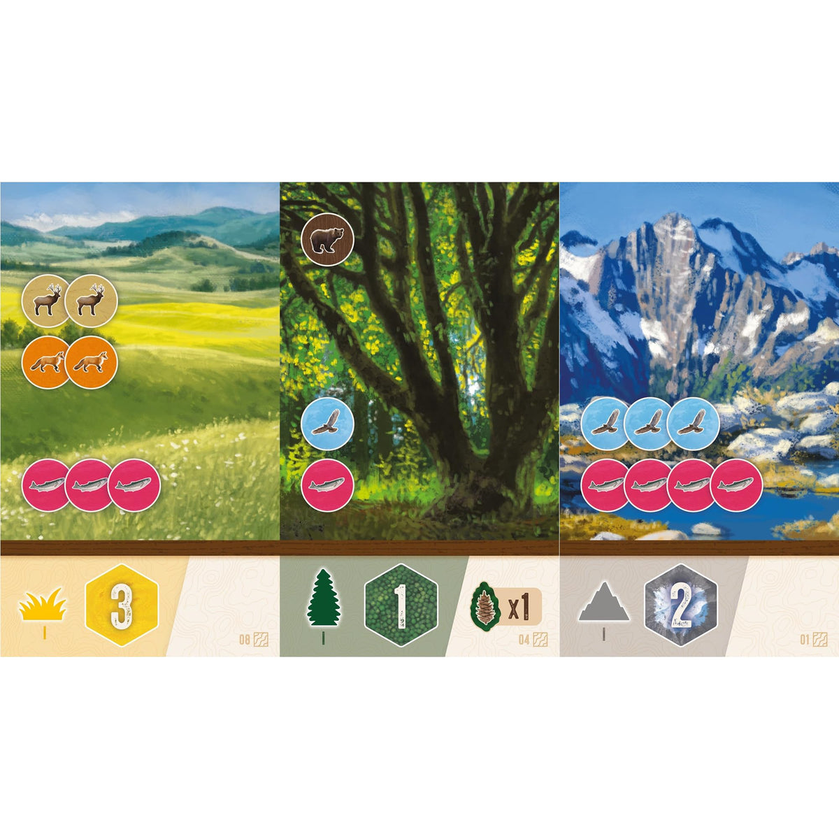 Cascadia Rolling Rivers Board Game by Alderac Entertainment Group 7