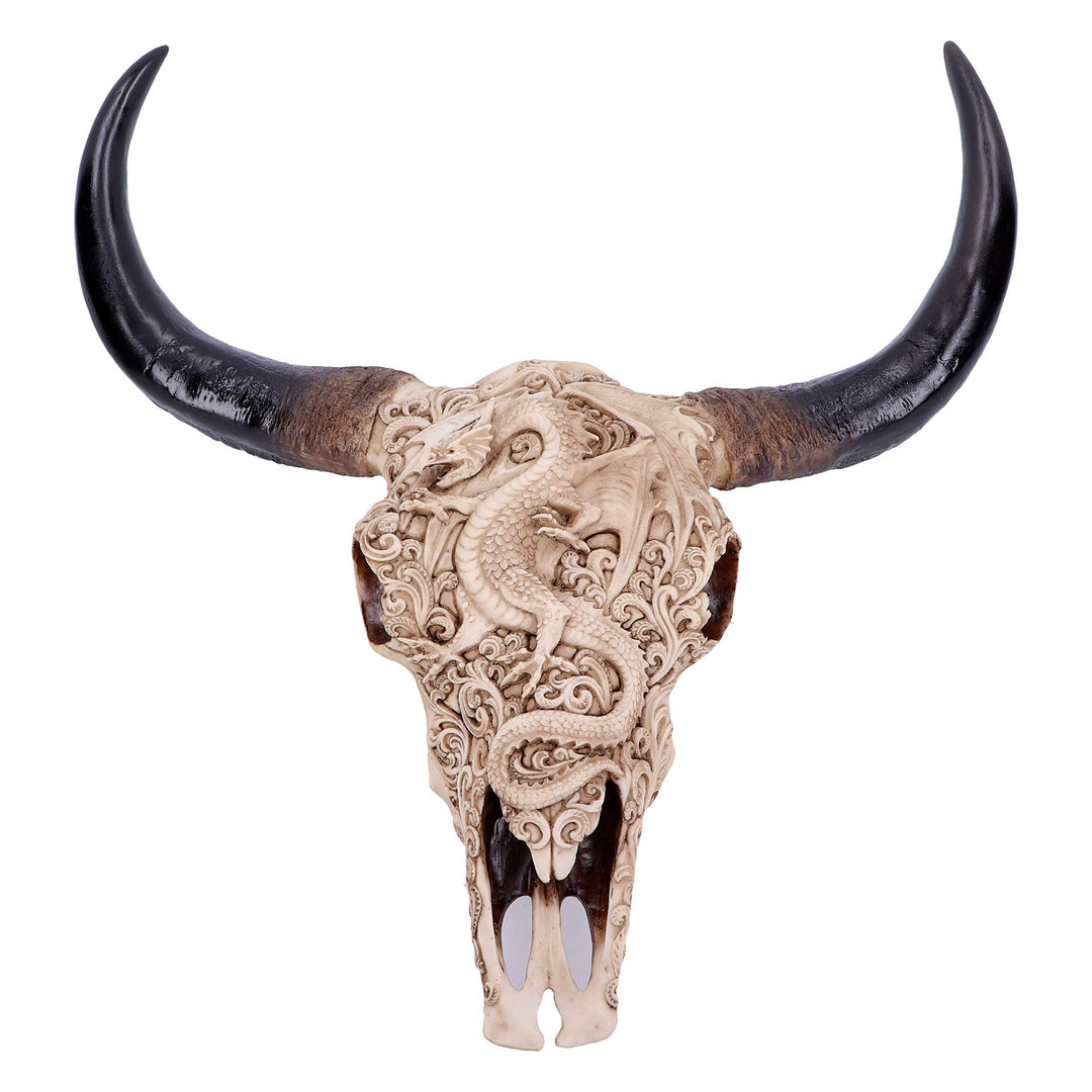Mythical Markings Carved Dragon Animal Skull 44.5cm
