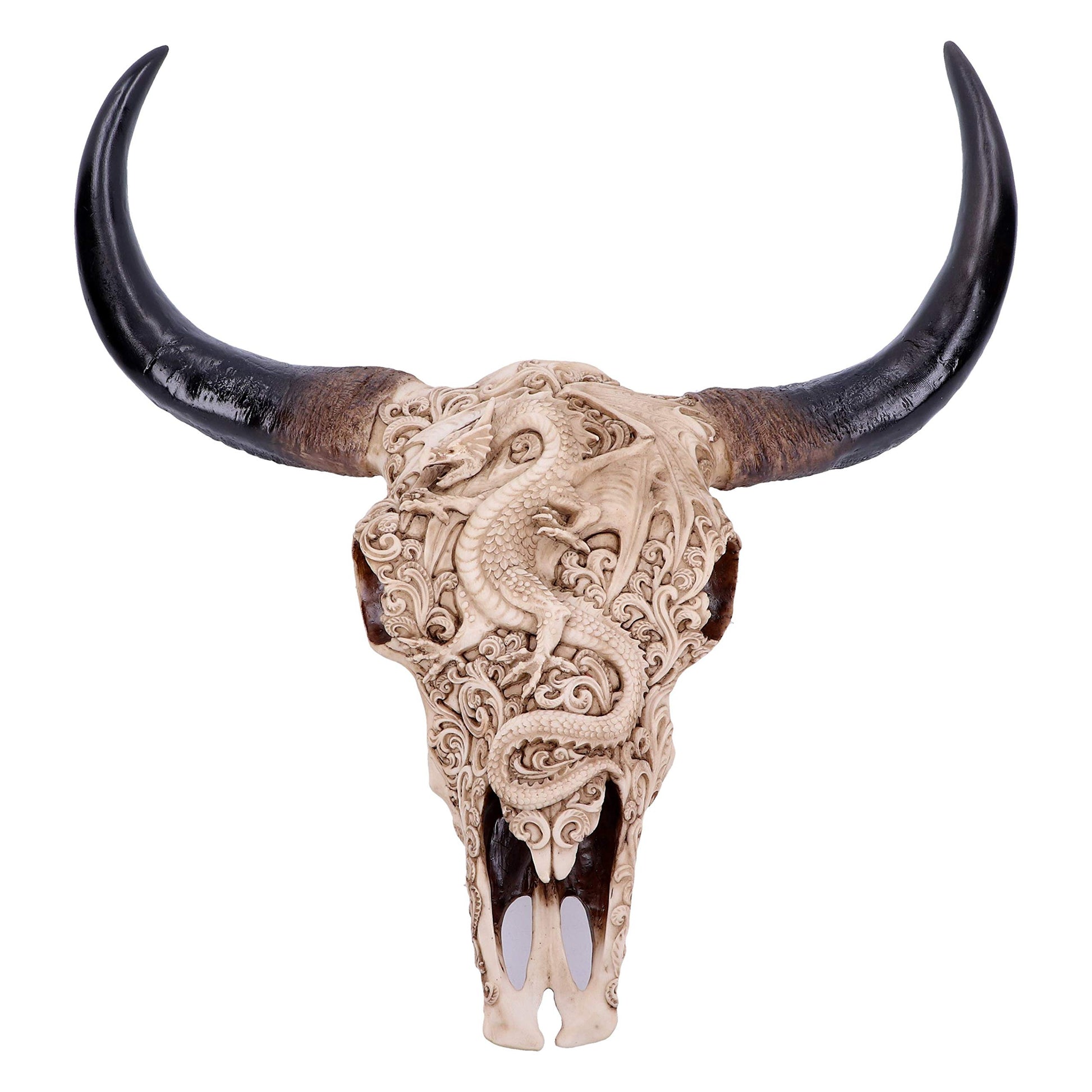 Mythical Markings Carved Dragon Animal Skull 44.5cm 2