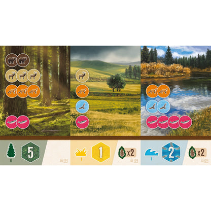 Cascadia Rolling Hills Board Game by Alderac Entertainment Group 9
