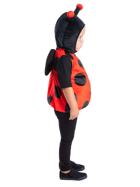 Ladybird Costume with Hood for Kids 2