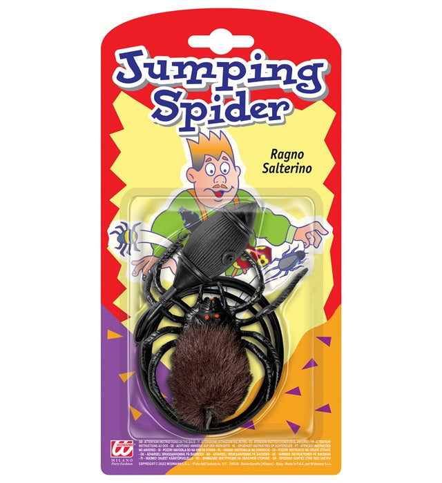Jumping Spider