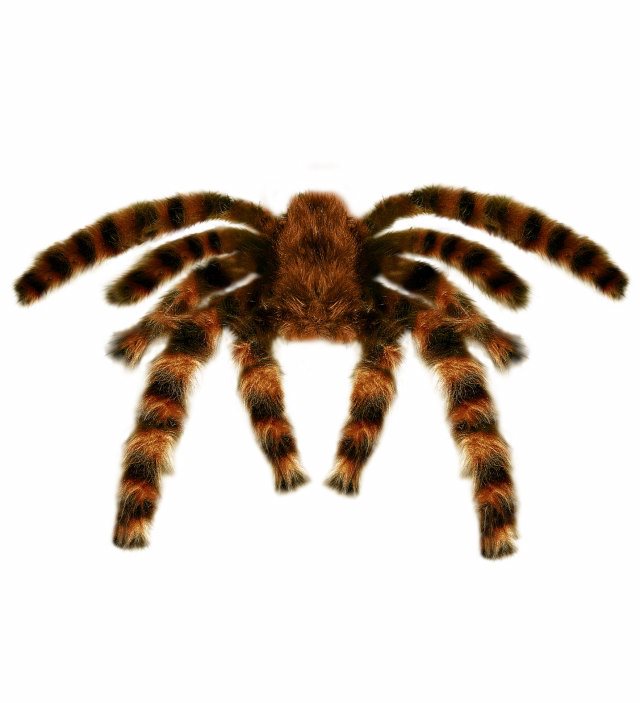 Giant Bendable Furry Tarantula 65 Cm