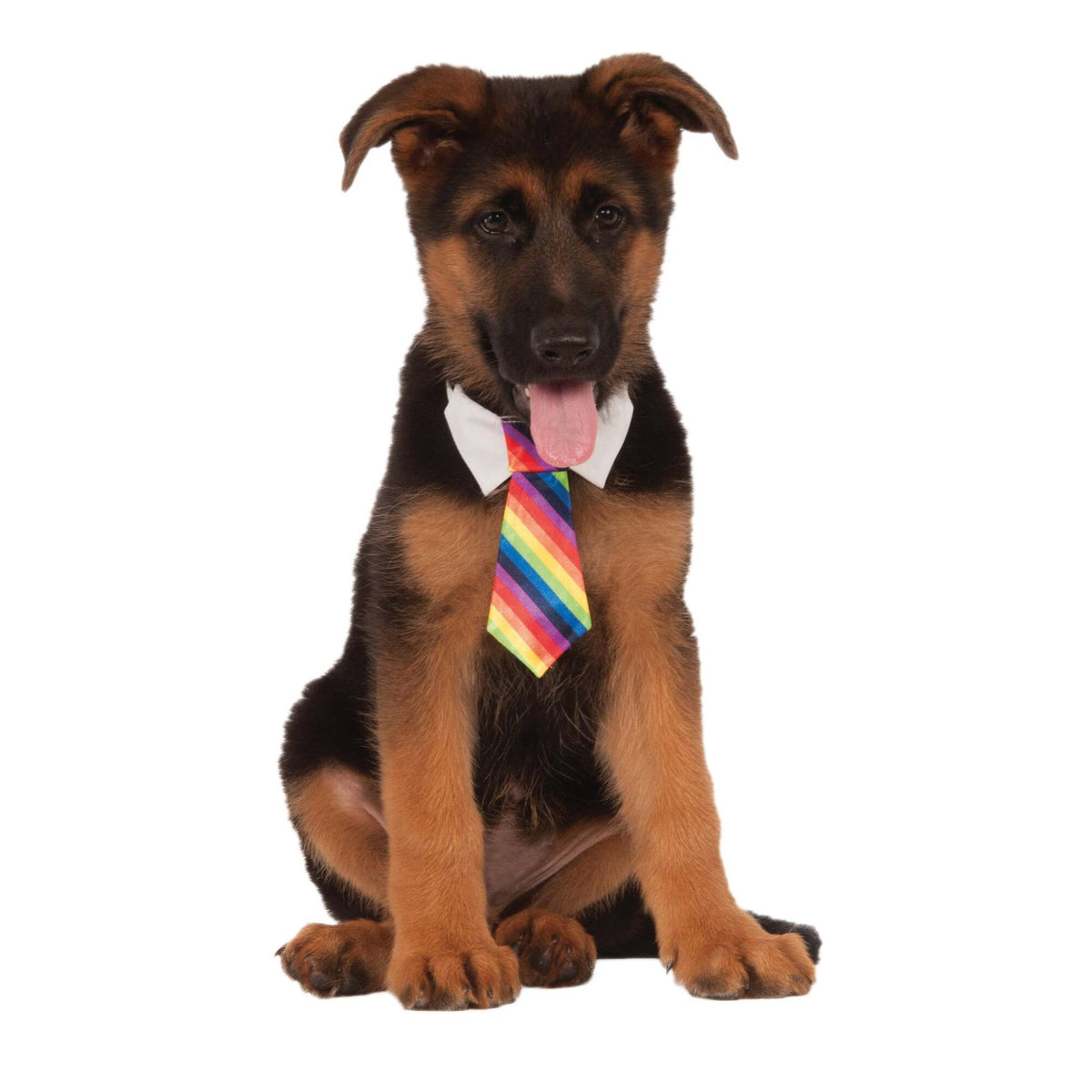 Rainbow Tie Pet Costume 1