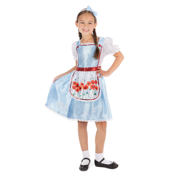 Fairy Tale Girl Costume 1