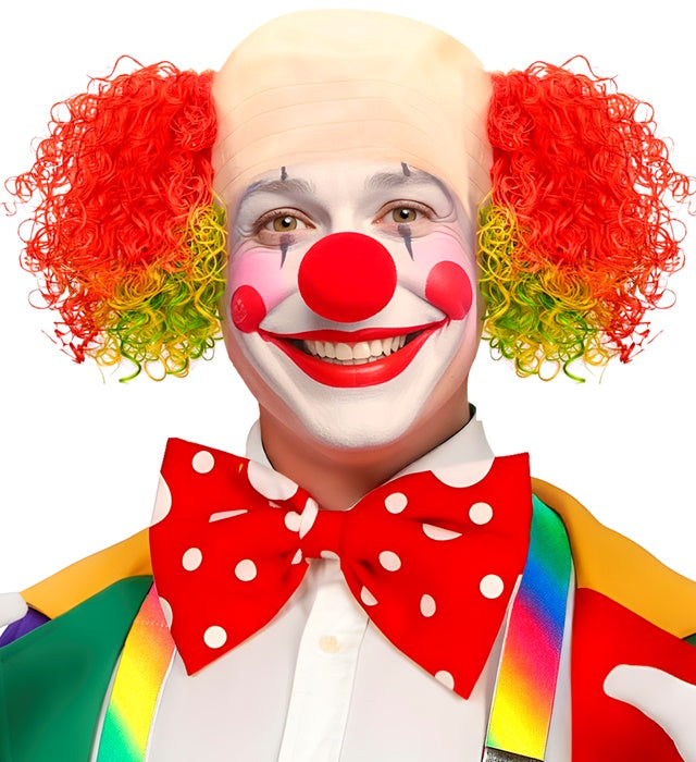 Deluxe Clown Headpiece With Multicolor Curly Hair