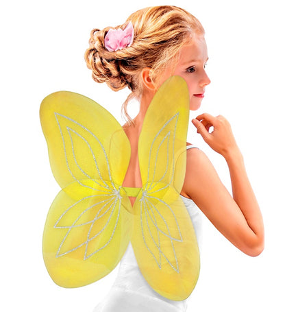 Yellow  Wings 58X46 Cm