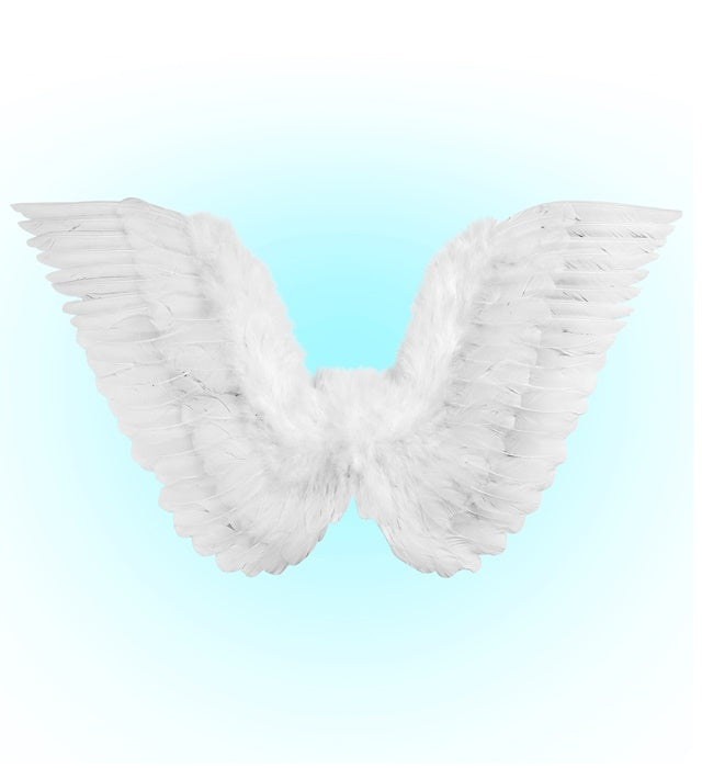 White Feathered Wings 78X36 Cm
