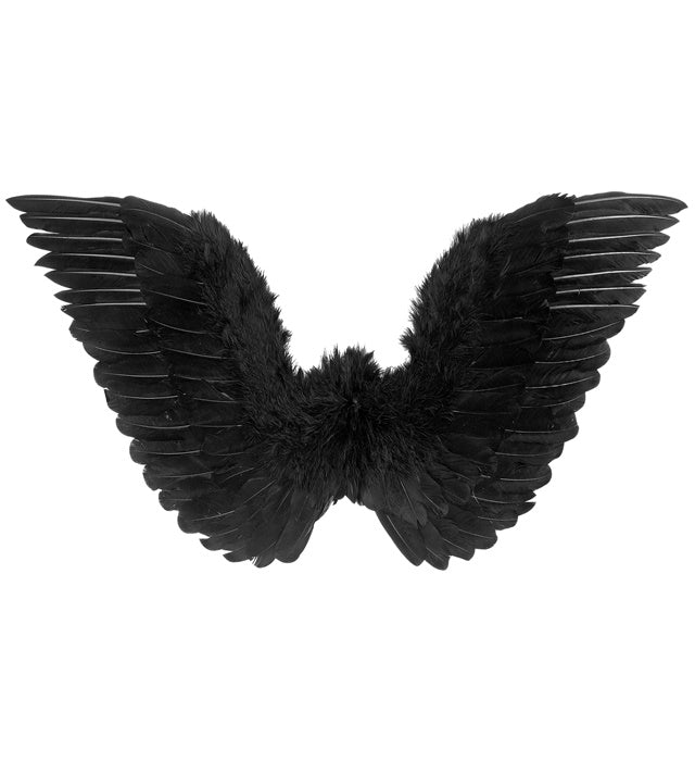 Black Feathered Wings 78X36 Cm