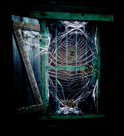 Spiderweb & Spiders