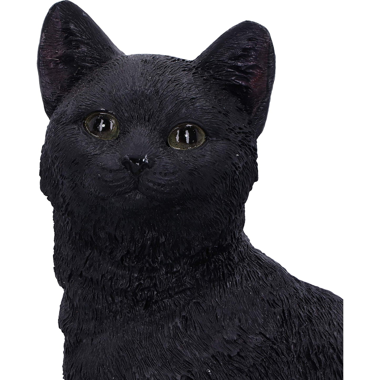 Familiar Fate Black Witches Cat and Skull Figurine 24.3cm 7